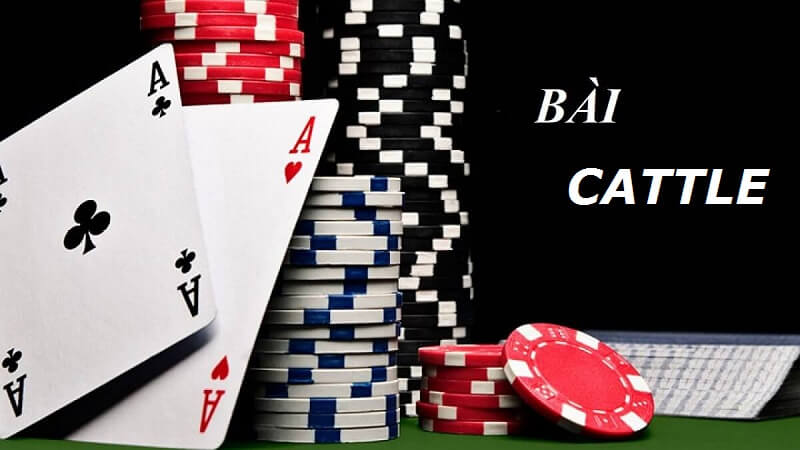 Sơ lược về bài Catte tại B52